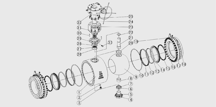 固(gu)定球閥結構示意(yi)圖 固定球閥結構(gou)示意圖