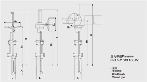 平(píng)闆式閘(zha)閥結構(gou)圖 平闆(pan)式閘閥(fá)結構圖(tú)