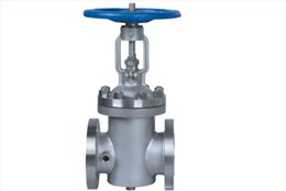 BZ41型(xing)保溫閘(zha)閥