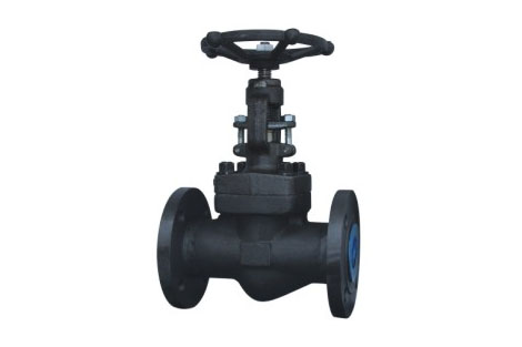 鍛鋼(gang)截止閥 鍛鋼截(jié)止閥