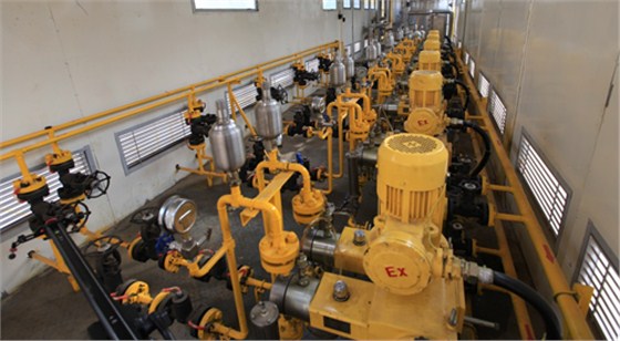 一體化(hua)注醇注劑撬室内(nei)