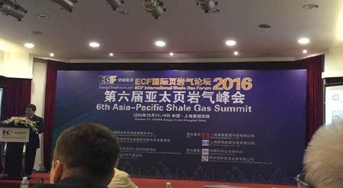 頁岩(yán)氣峰會 頁(yè)岩氣峰會(hui)
