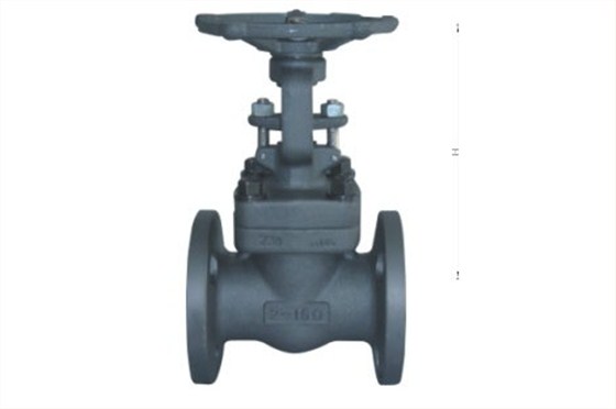 鍛鋼閘(zhá)閥 鍛鋼閘(zha)閥