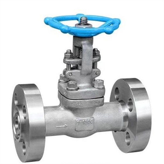 鑄造(zào)法蘭閘(zha)閥 鑄造(zao)法蘭閘(zhá)閥