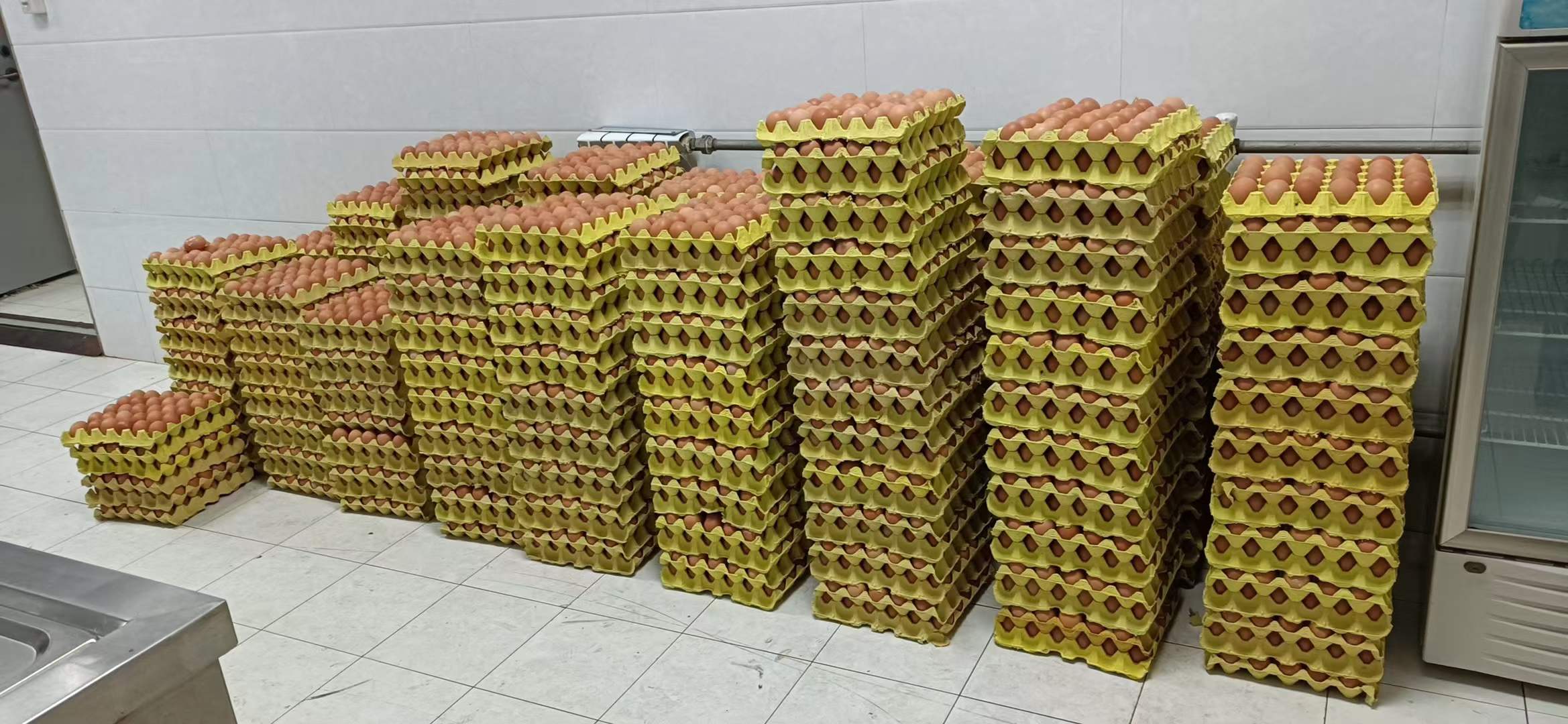 微信圖片(pian)_20211230140240 微信圖片_20211230140240